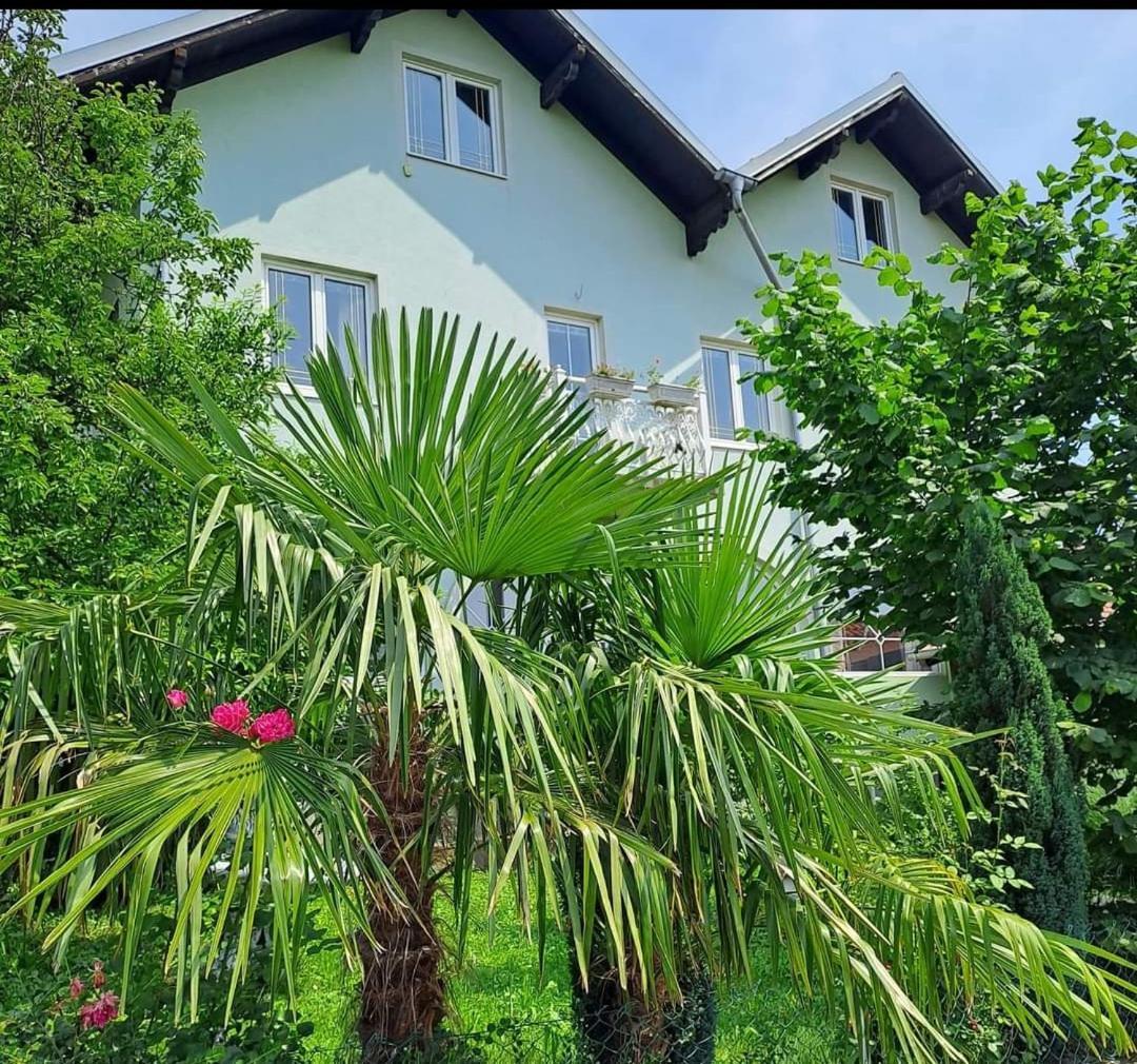 Aparthotel Smestaj Novakovic,Ždrelo Extérieur photo