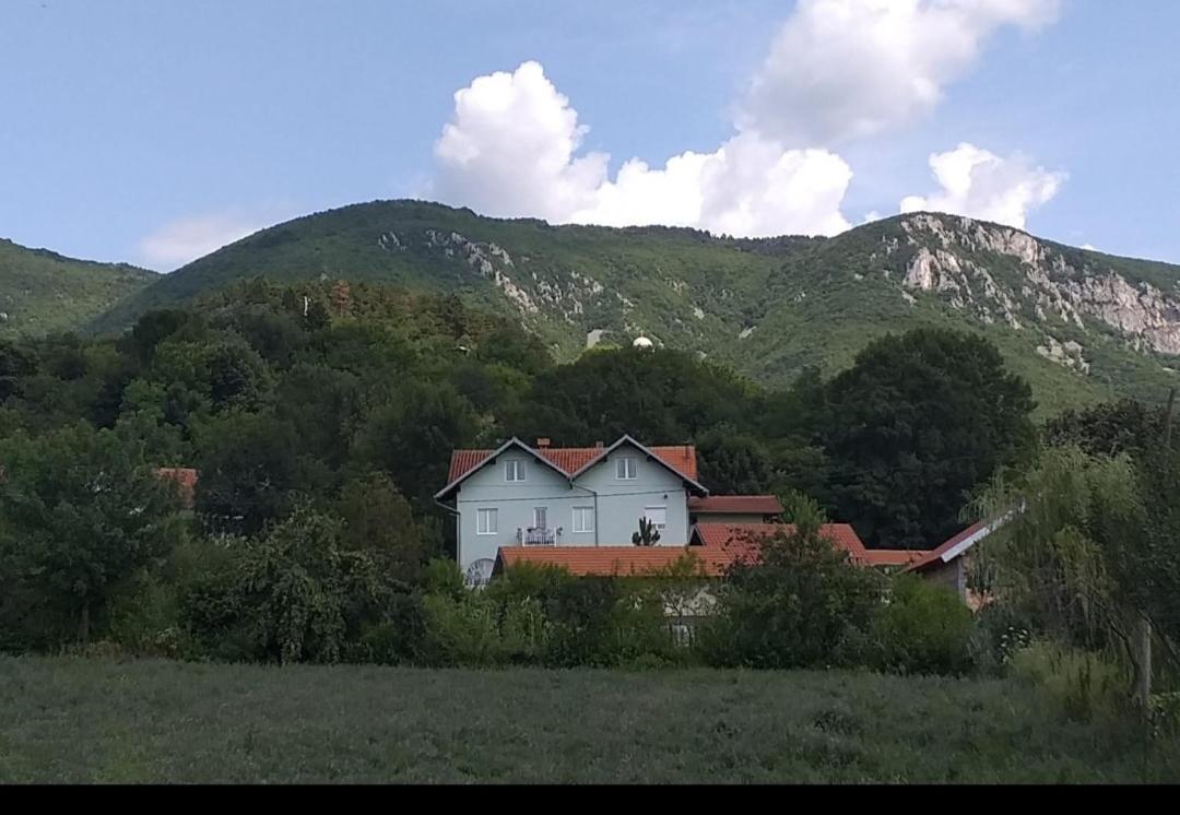 Aparthotel Smestaj Novakovic,Ždrelo Extérieur photo